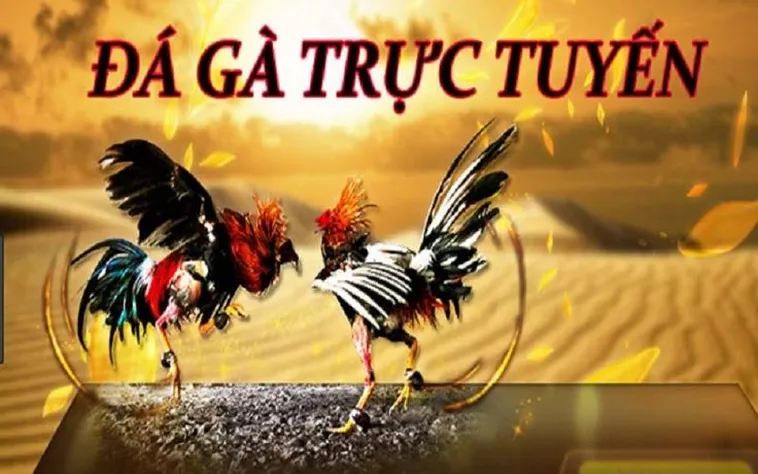 Khám Phá Thế Giới Đá Gà Bet88: Trải Nghiệm Cá Cược Đỉnh Cao